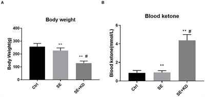 Proteomics for Studying the Effects of Ketogenic Diet Against Lithium Chloride/Pilocarpine Induced Epilepsy in Rats